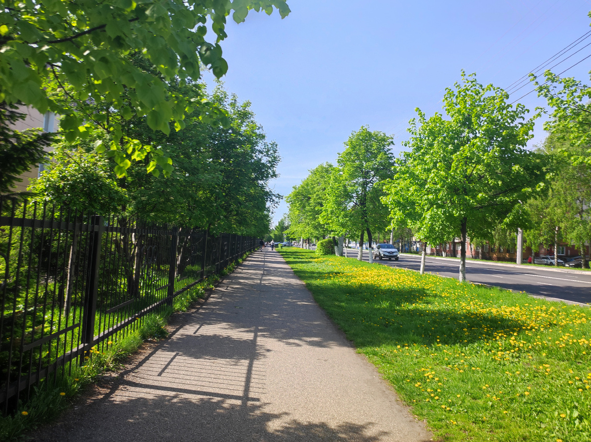 Фото автора 