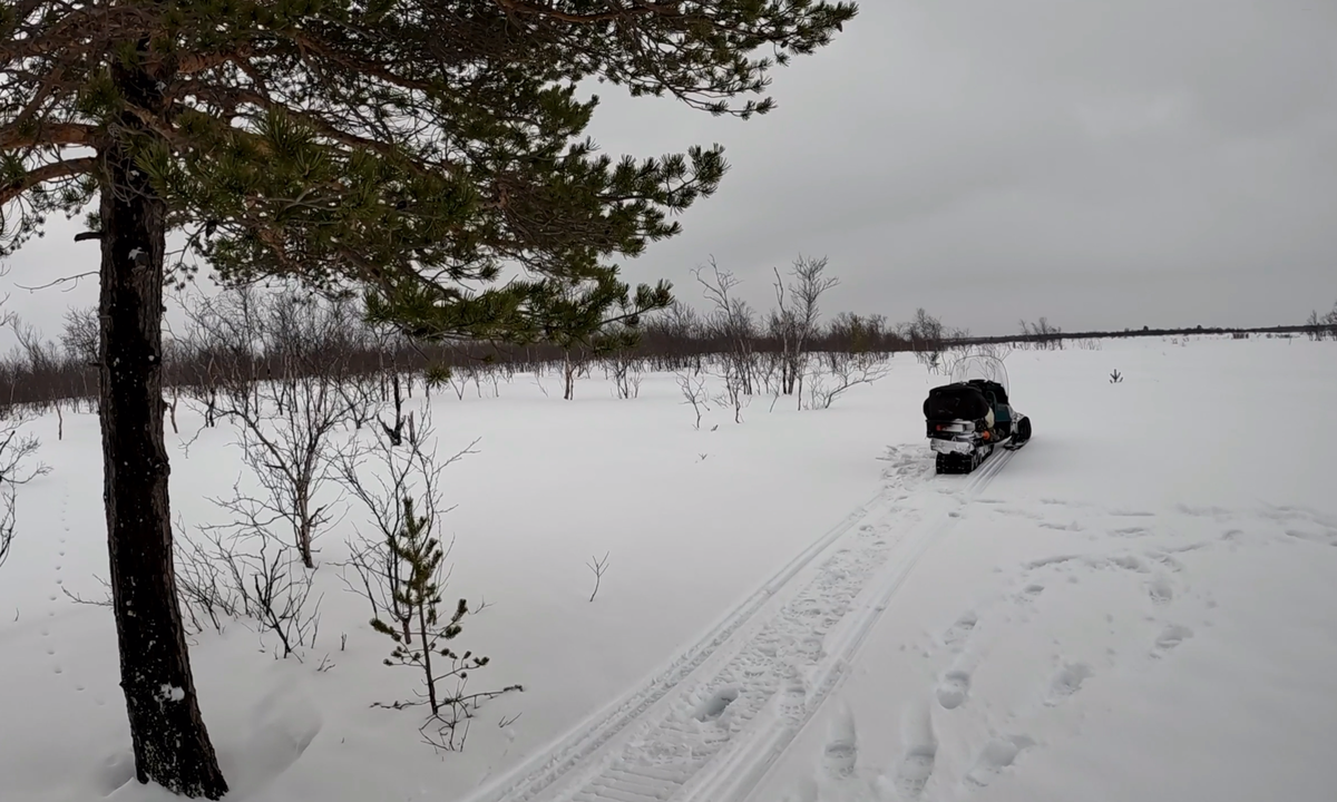 ФОТО АВТОРА.