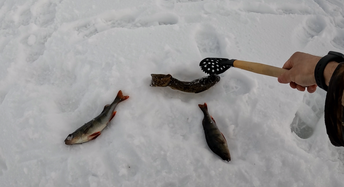 ЛИСТАЙТЕ ГАЛЕРЕЮ.