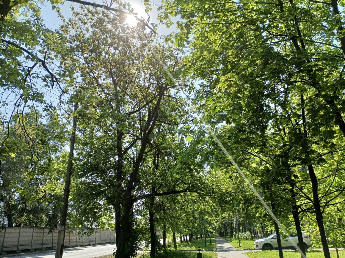 Солнце протягивает мне свою руку.