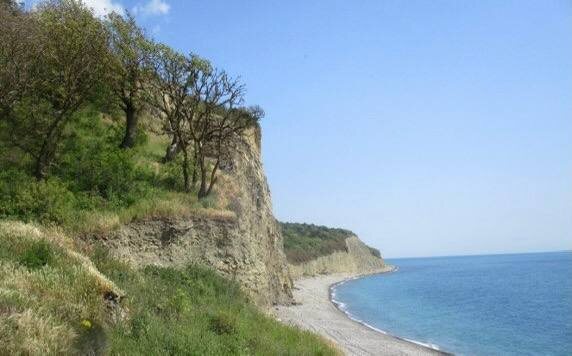    Фото: пресс-служба Минприроды Краснодарского края