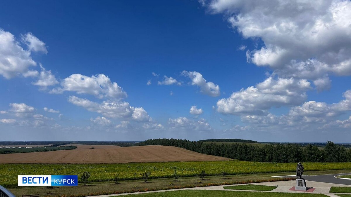    7 украинских БПЛА уничтожены в небе Курской области