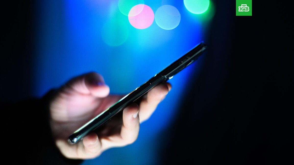    Фото: РИА Новости © 2025, Владимир Астапкович