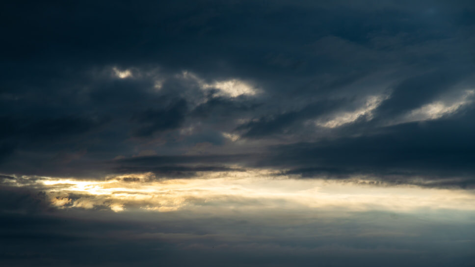 Фото: Олег Харсеев / Коммерсантъ