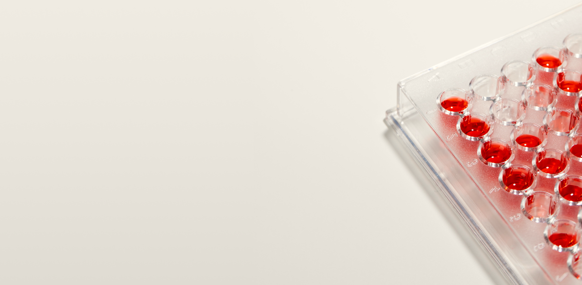 Изображение: Freepik