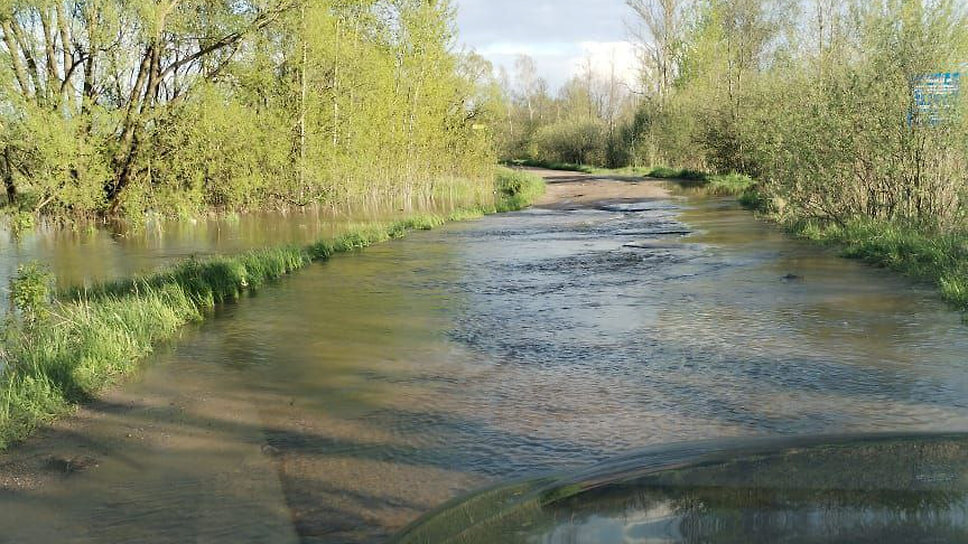 Фото: соцсети