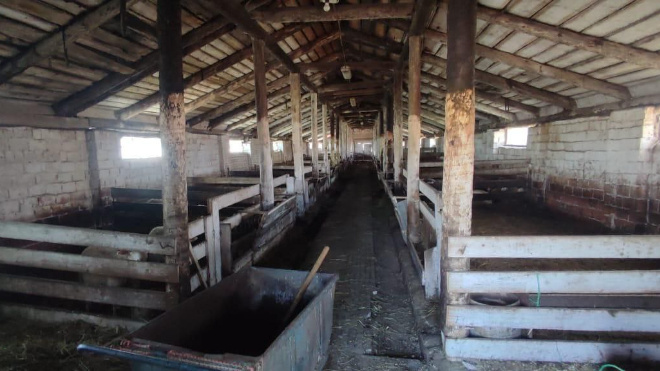 Фото: прокуратура Ленинградской области