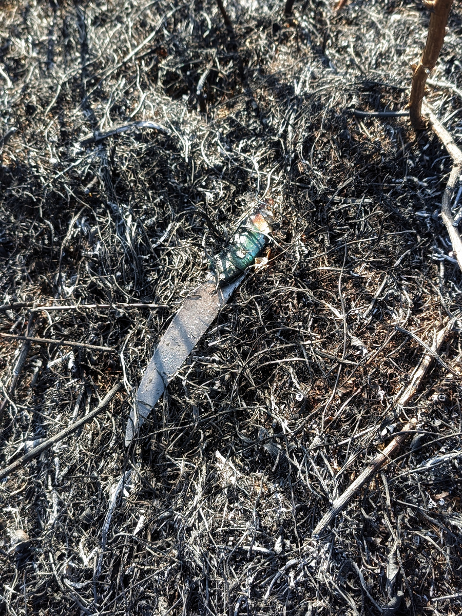 Находки, найденные на пепелище. 