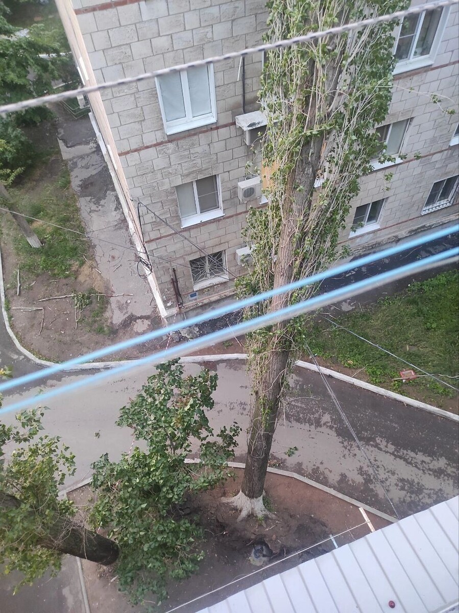     Источник: novostivolgograda.ru