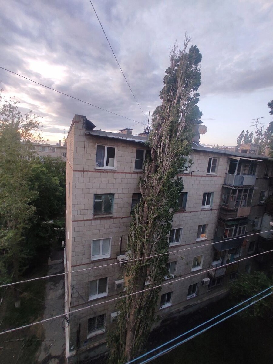     Источник: novostivolgograda.ru