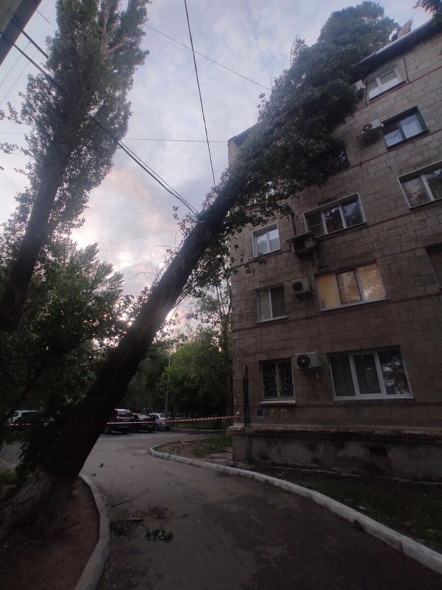     Источник: novostivolgograda.ru