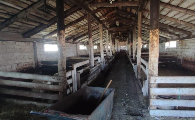    © Пресс-служба прокуратуры Ленинградской области