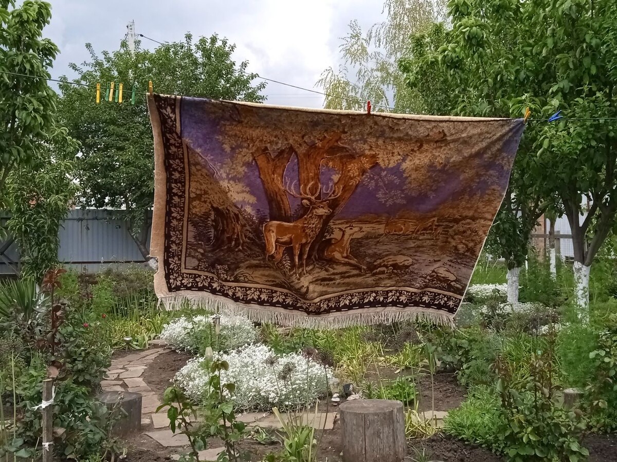 Собственное фото автора. Мой ковёр с оленями. Куплен в 1973 году. Фото от 21 мая 2025 г. Сделано в моём дворе. 