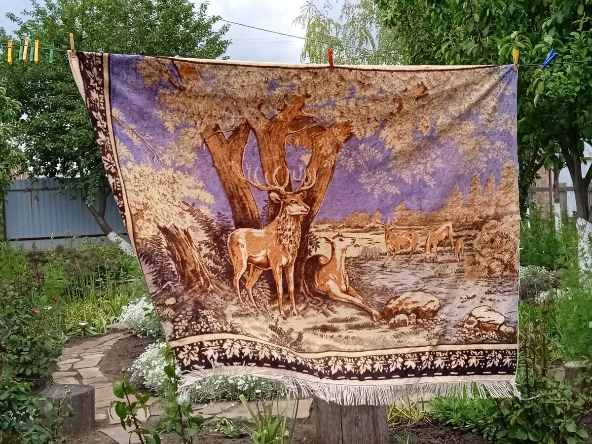 Собственное фото автора. Мой ковёр с оленями. Куплен в 1973 году. Фото от 21 мая 2025 г. Сделано в моём дворе. 