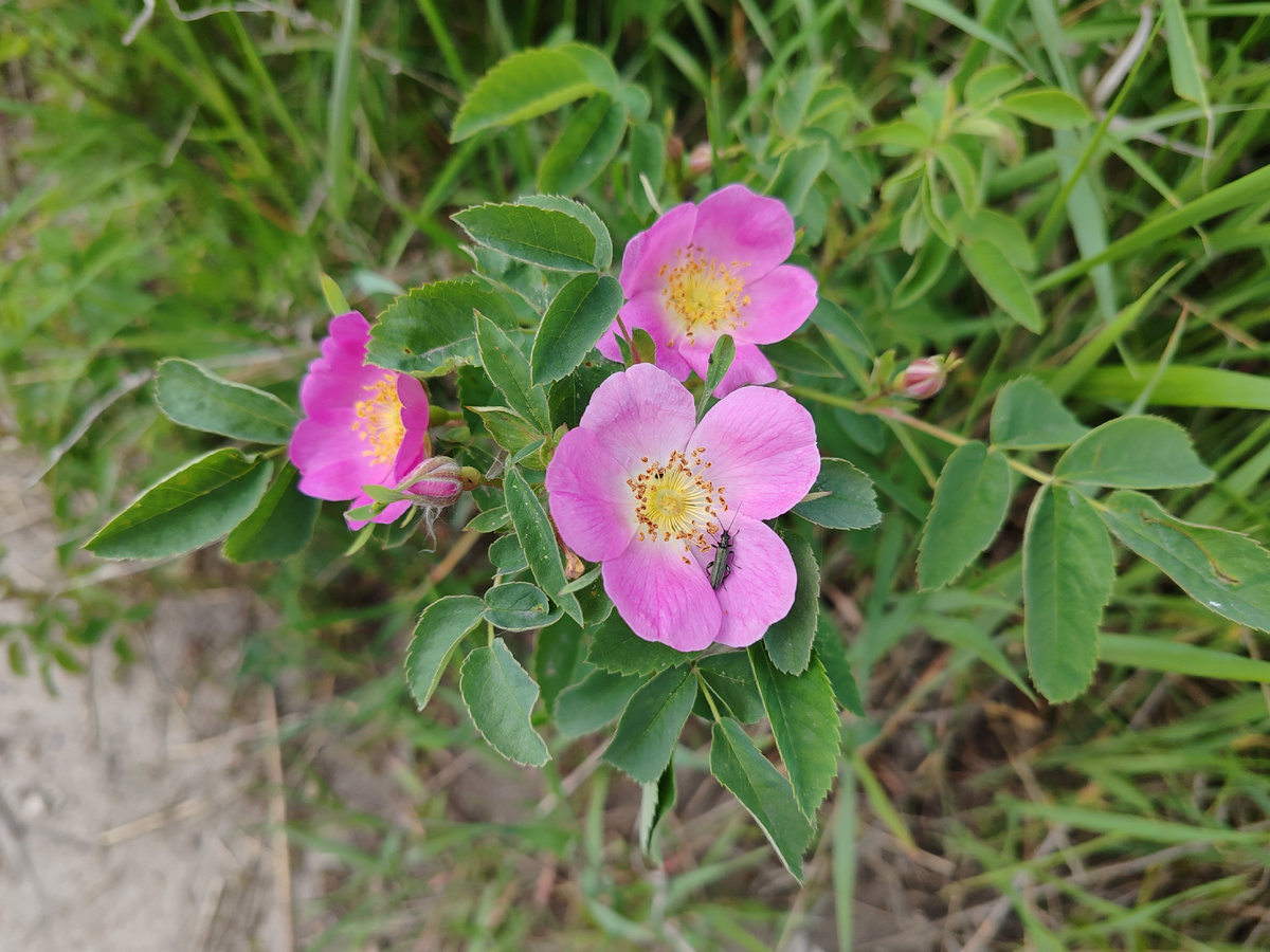 Фото автора канала. 