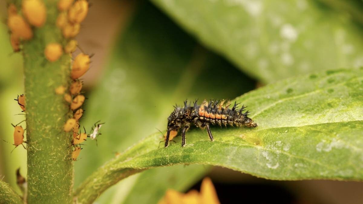    Фото: Shutterstock