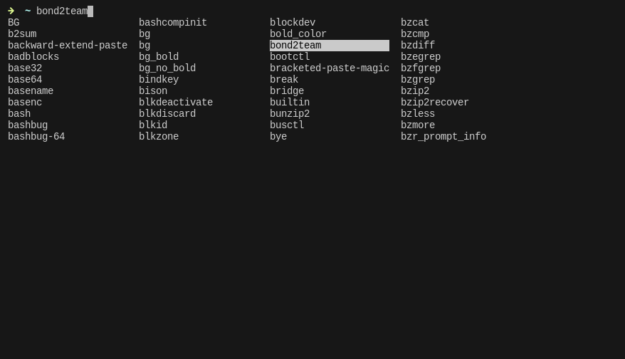 Настроенная оболочка Zsh с автодополнением