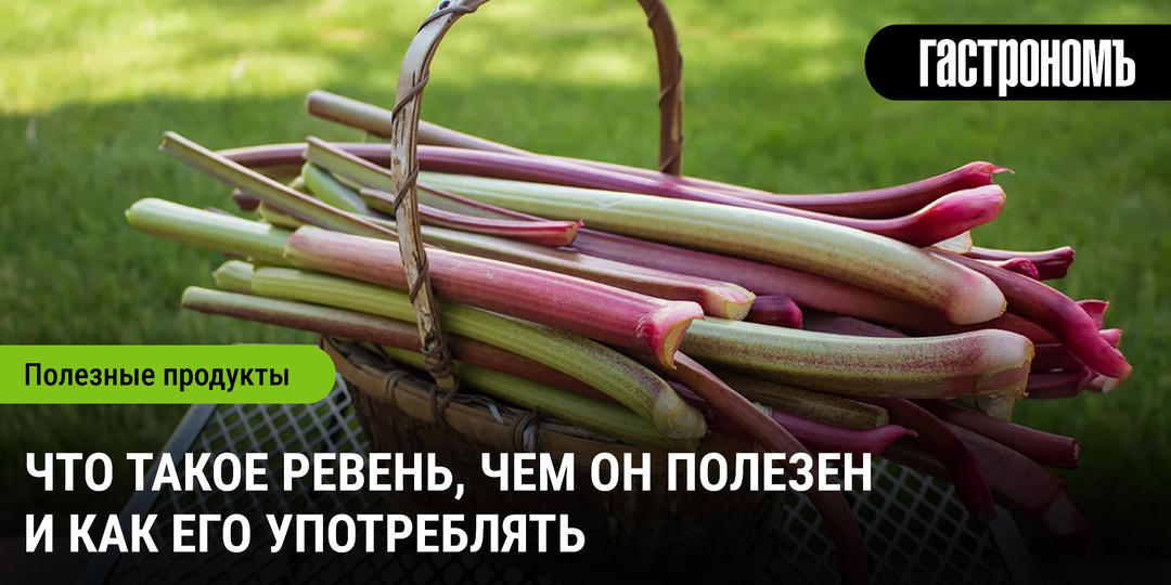 Что такое ревень, чем он полезен и как его употреблять