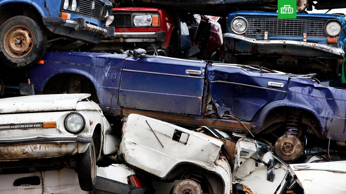    Фото: РИА Новости © 2025, Андрей Стенин