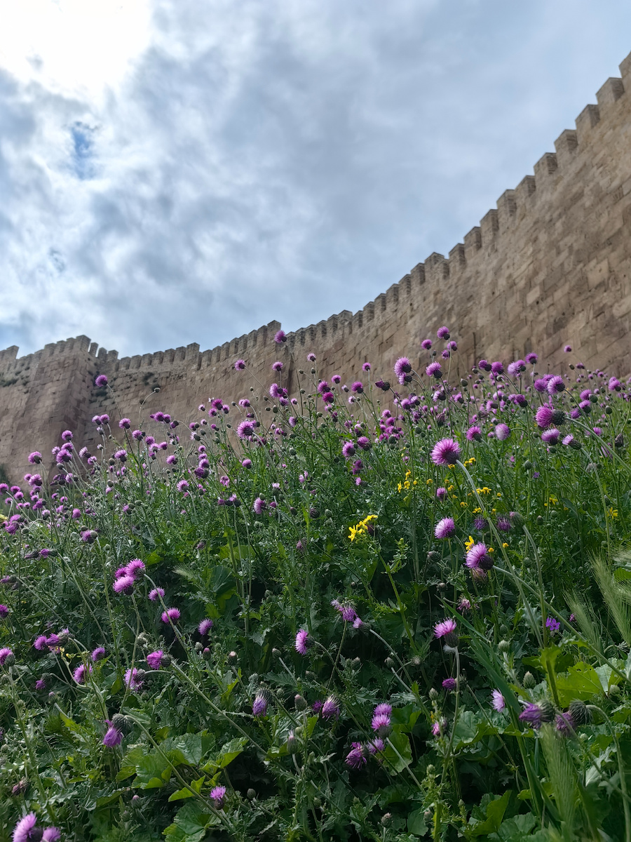 Крепость Нарын-Кала в Дербенте