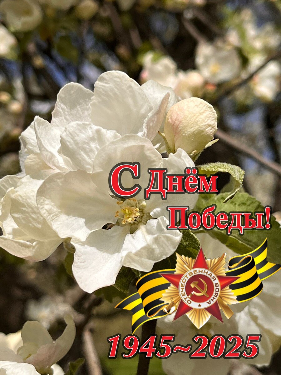 Весна победы