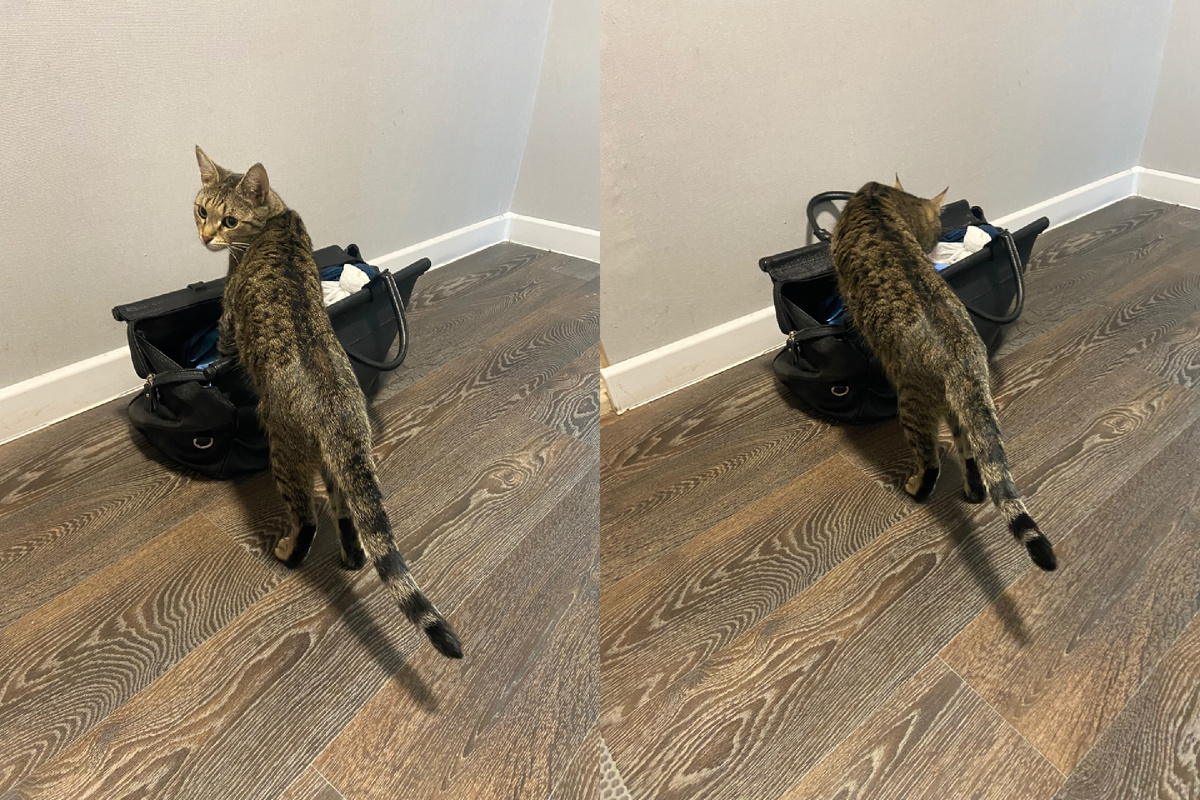 Зона таможенной проверки