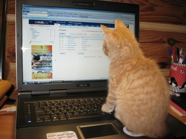 Не знаешь как решить вопрос - делигируй)