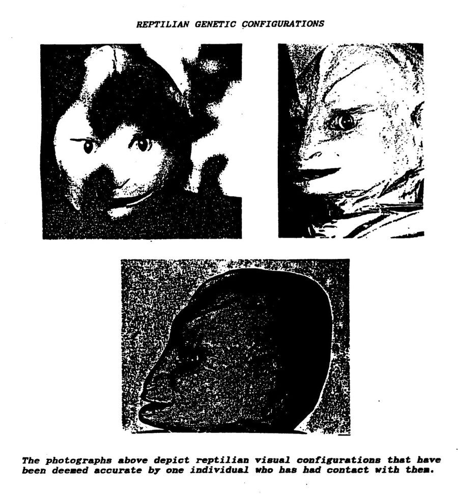 Скульптура головы рептилоида, выполненная Черри Хинклом