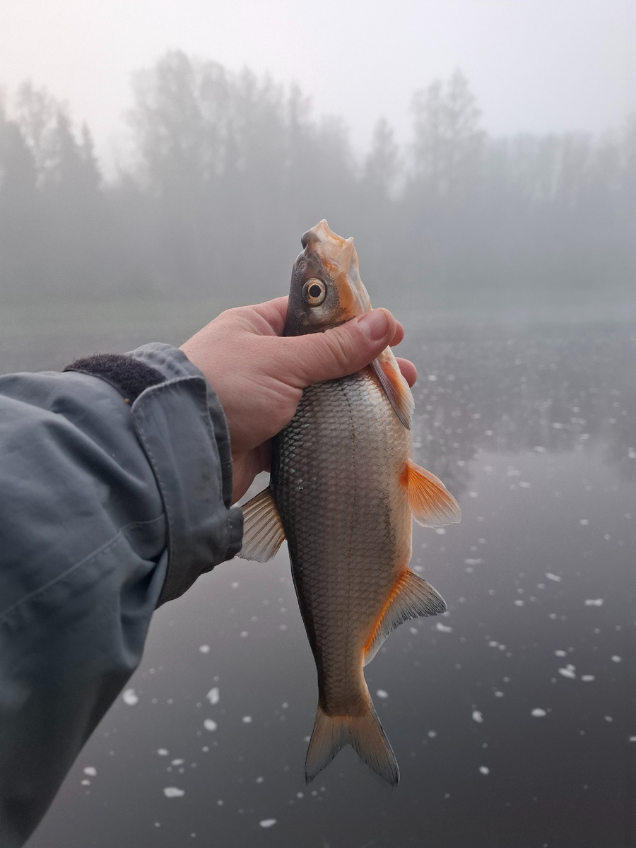 Густой туман на реке...