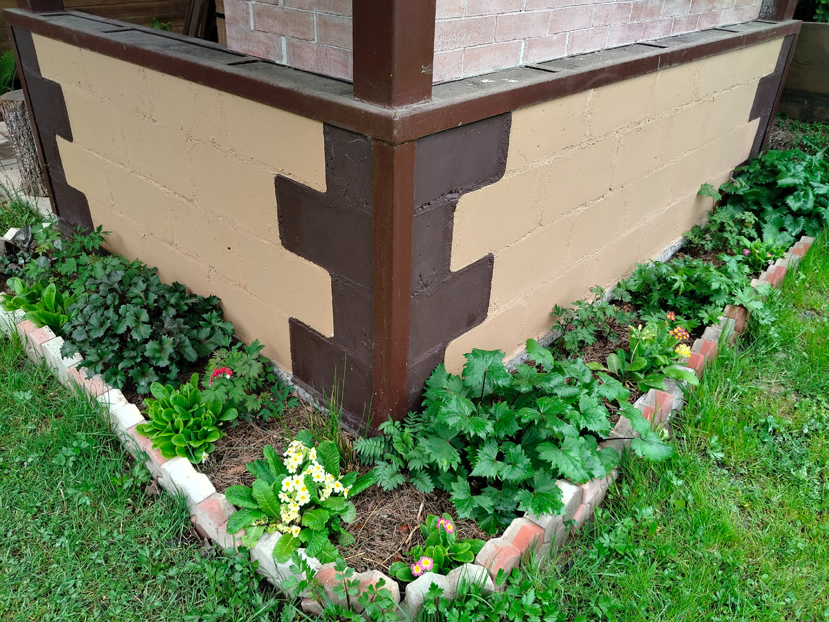 Цветник с Бузульниками на уеду мангальной 2025 . Фото автора @Маша Генералова