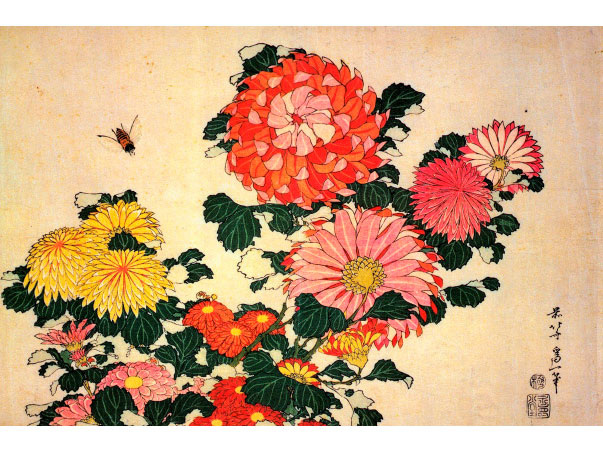Кацусику Хокусай. Хризантемы и пчела