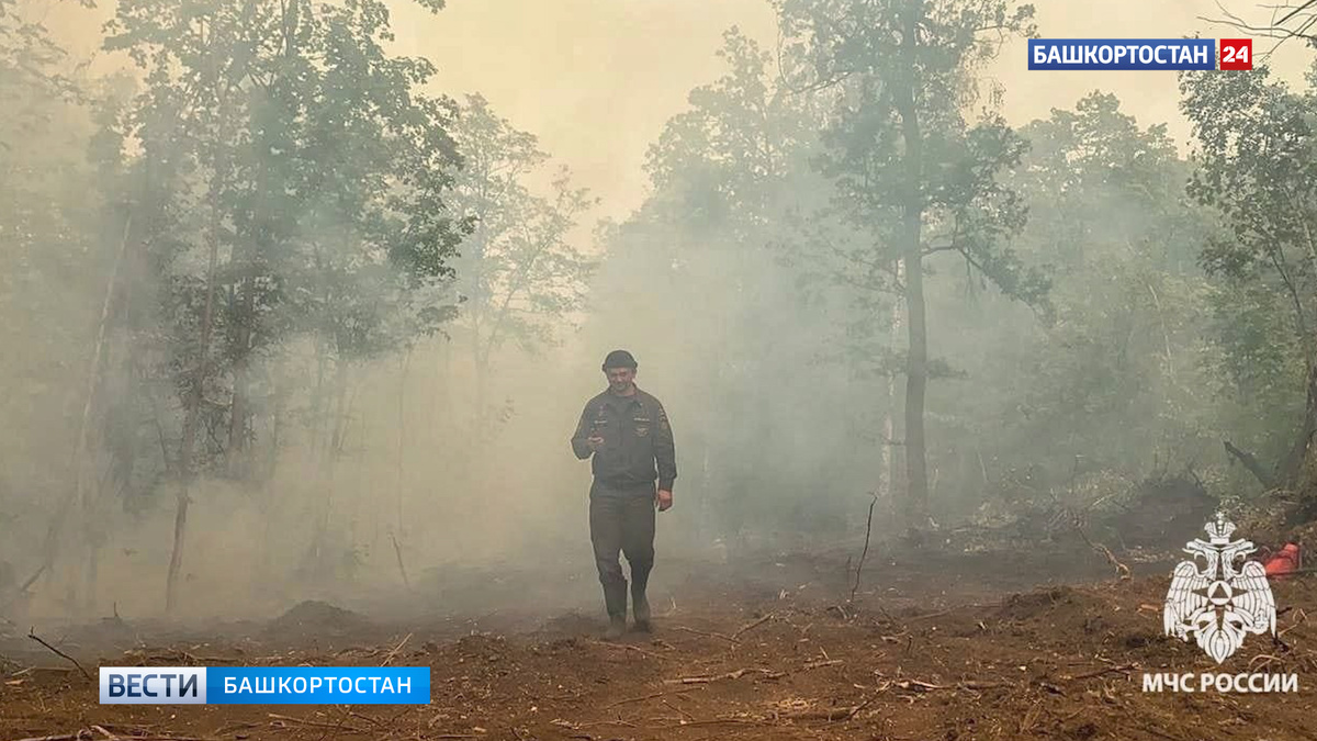    Два лесных пожара произошли в Бурзянском районе Башкортостана
