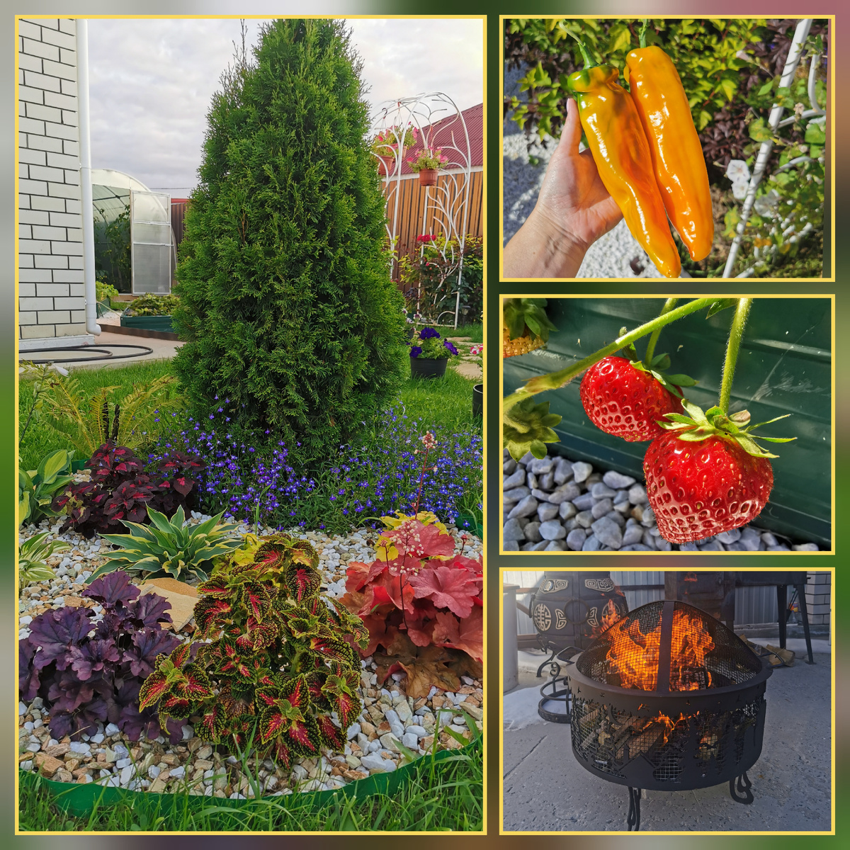 Кусочки летней жизни для конкурса.