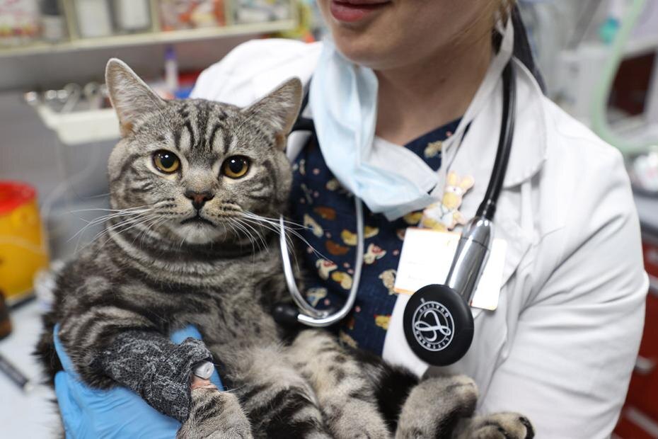    Артем Соболев/NEWS.ru