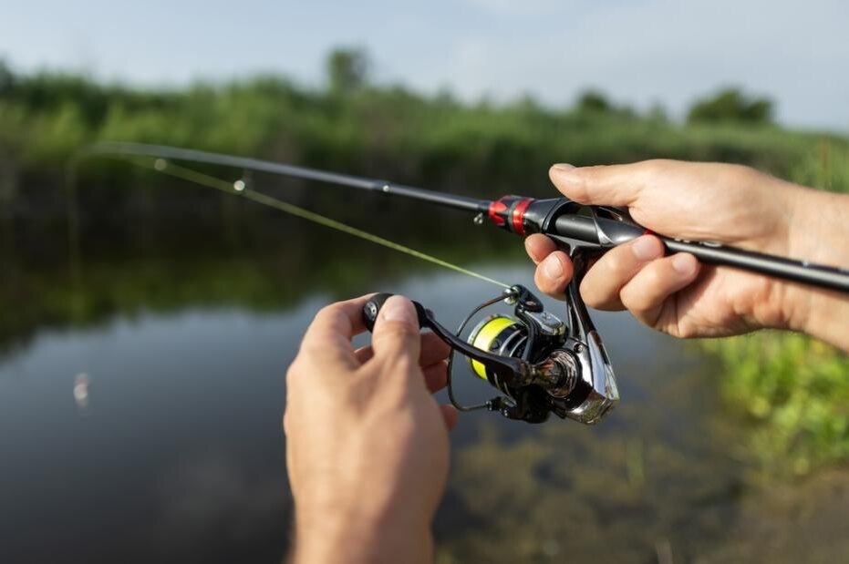    Shutterstock/FOTODOM