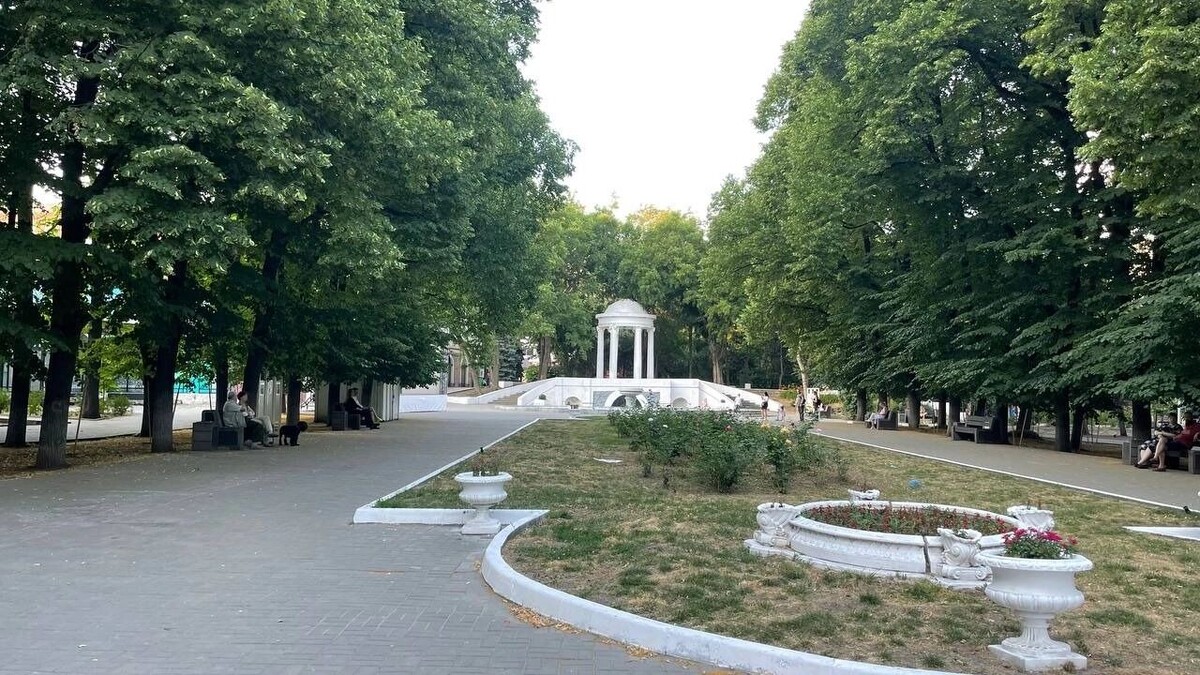     Источник: rostovgazeta.ru