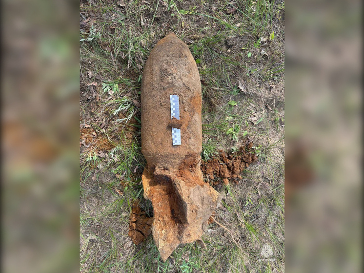    Фото: ГУ МЧС по РО Веселовские вести