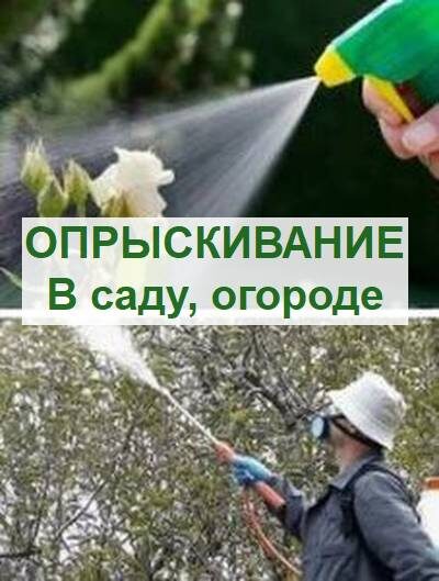 опрыскивание сада и огорода