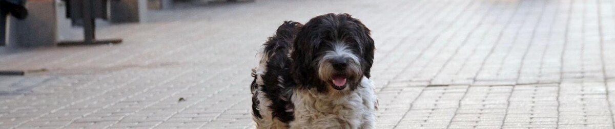    Фото: Сергей Егоров