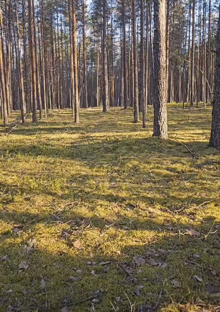 Видео Анюты Пшеницыной. 21.05.25