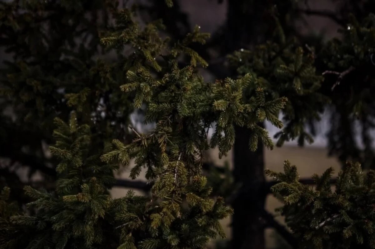    Подвал здания культурного наследия на Красном проспекте выставлен на продажу