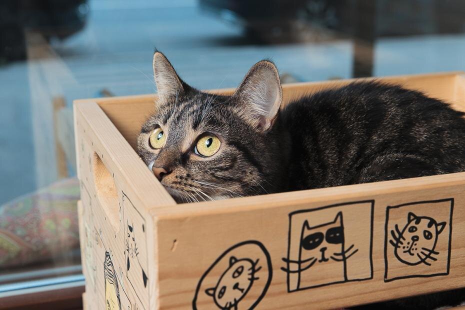    Владислав Шатило/РБК