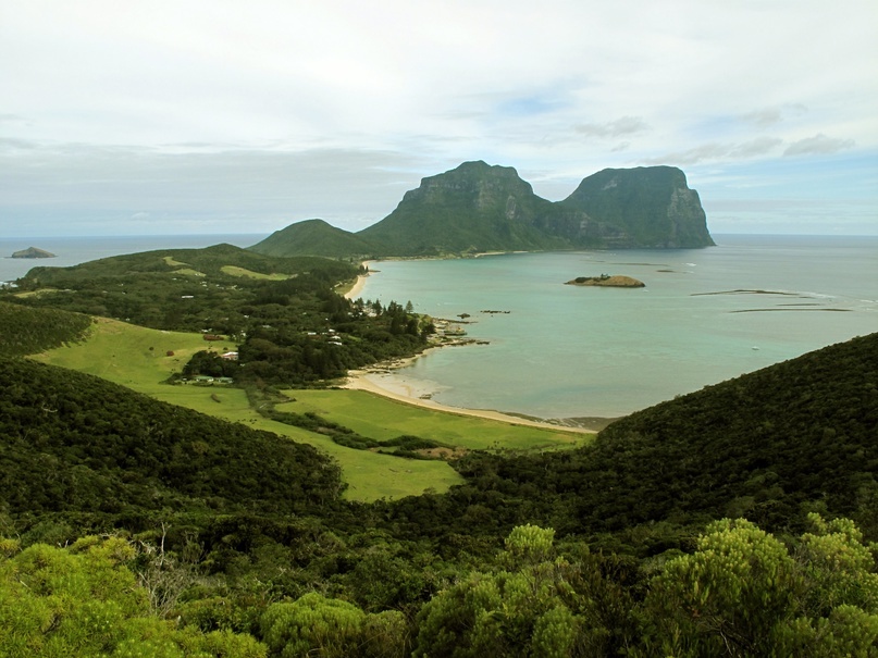 Остров Лорд-Хау, где когда-то обитал древесный лобстер. Фото: patchtok / Flick.com