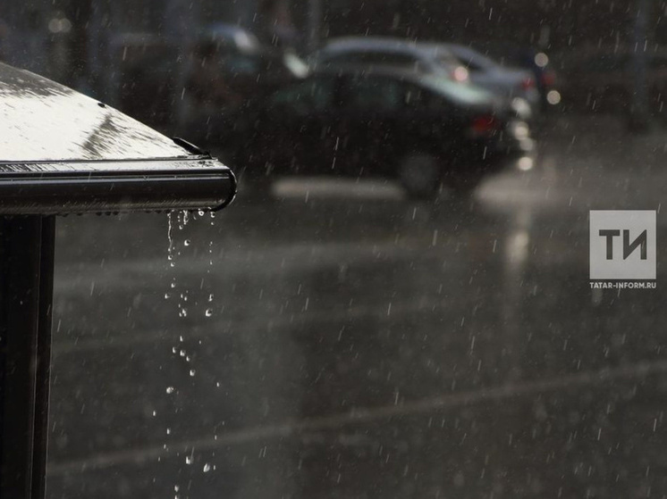     Фото: ИА "Татар-информ"