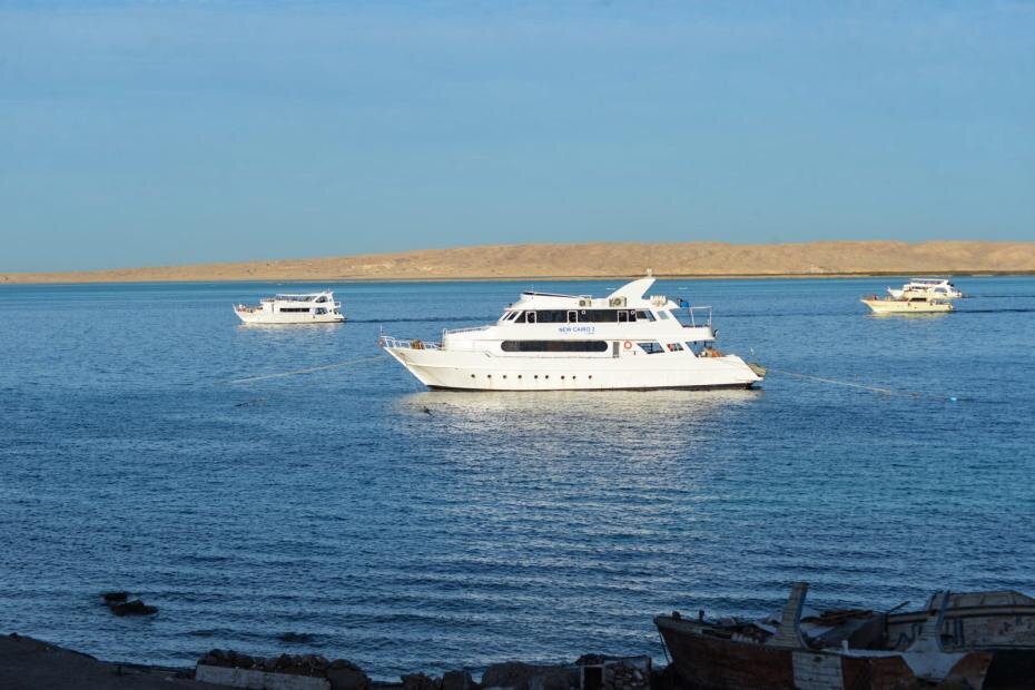    Mark Malak/dpa/Global Look Press