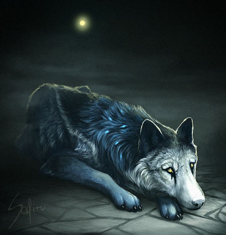 фото из интернета