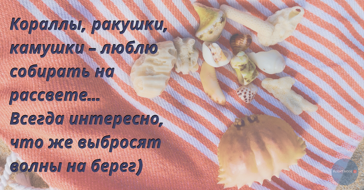 о. Хайнань, Китай ➡️ только собирала!!! оставила на пляже))) Честно!!!