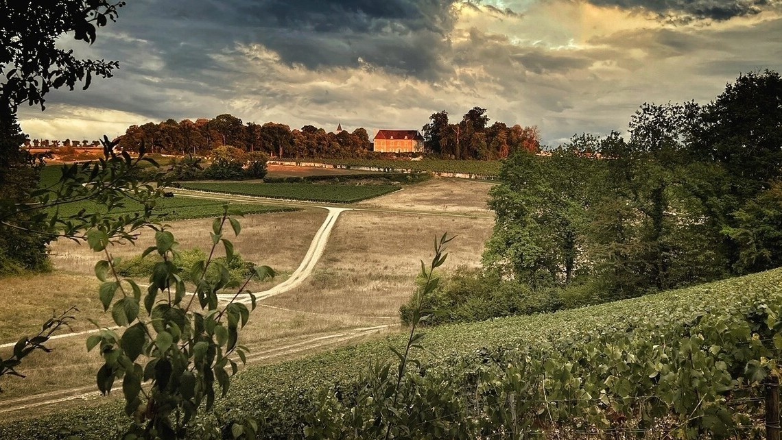 Кадр из фильма «Мадам Клико», 2023 год, режиссер Томас К. Нэппер