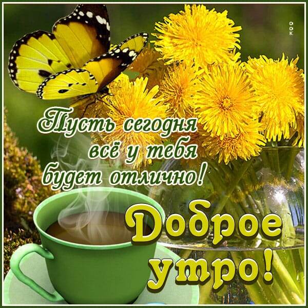 Фото из интернета.