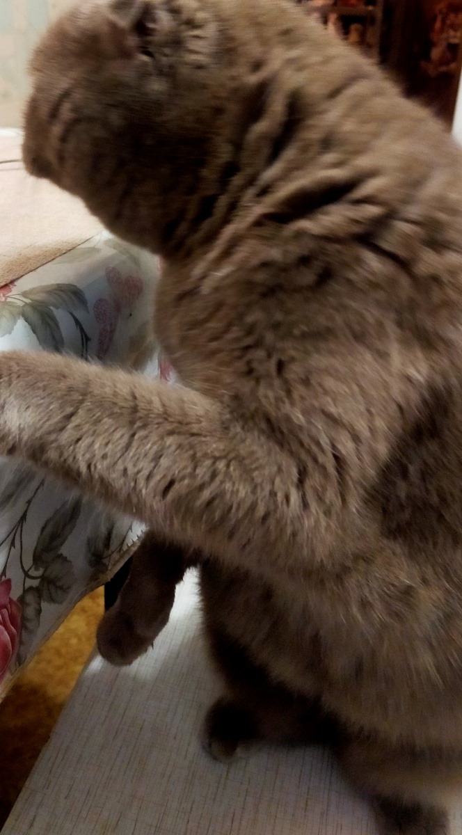 Фото автора.